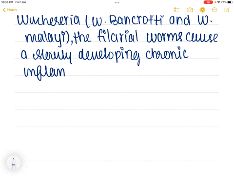 wuchereria-causes-which-disease-in-humans-a-amoebiasis-b-filariasis-c-ascariasis-d-ringworm