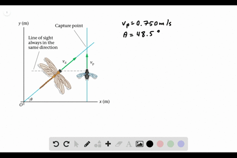 bio-motion-camouflage-in-dragonflies-dragonflies-whose-ancestors-were-once-the-size-of-hawks-have-pr