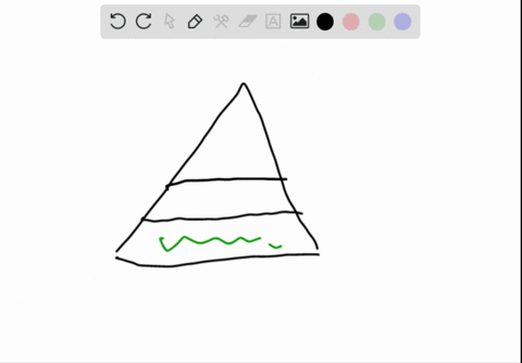 which-of-the-following-organisms-is-correctly-paired-with-a-trophic-level-a-cyanobacterium-secondary