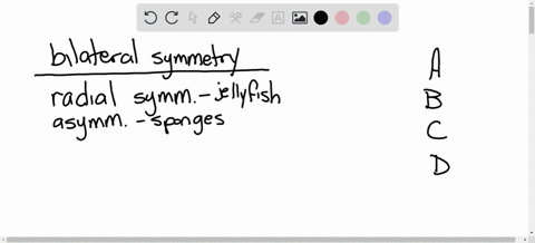 the-evolution-of-bilateral-symmetry-was-a-necessary-precursor-for-the-evolution-of-a-tissues-b-segme