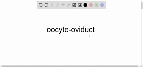 explain-the-difference-between-the-terms-in-each-set-below-then-explain-how-the-terms-are-related-oo