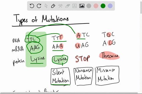 a-nonsense-mutation-a-causes-one-amino-acid-to-be-substituted-for-another-in-a-polypeptide-chain-b-5