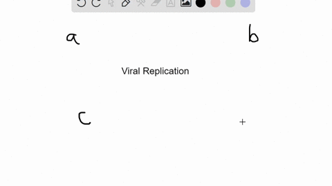 which-statement-is-not-true-of-viral-replication-a-a-lysogenic-cycle-kills-the-host-cell-b-there-are