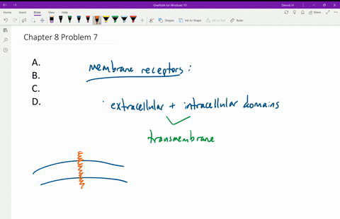a-membrane-receptor-is-most-likely-to-be-an-a-quad-embedded-protein-with-catalytic-activity-b-quad-2