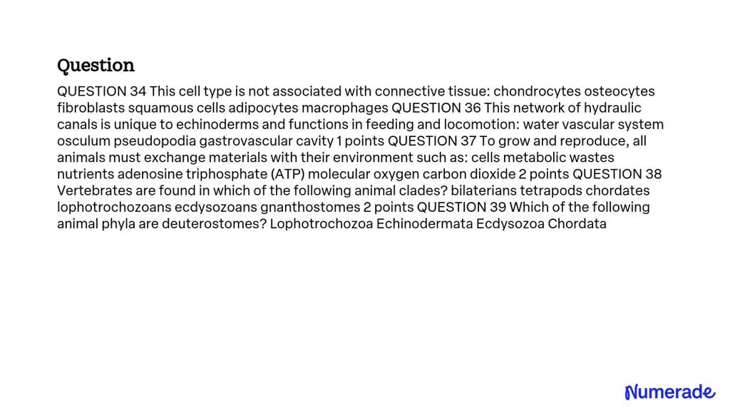 SOLVED: QUESTION 34 This cell type is not associated with connective