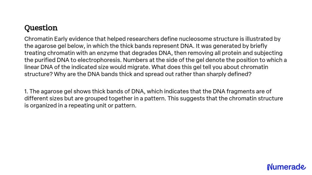 Solved:chromatin Early Evidence That Helped Researchers Define 