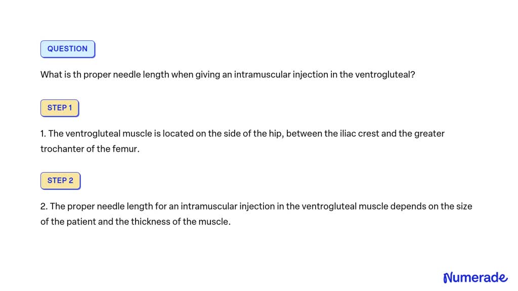 solved-what-is-th-proper-needle-length-when-giving-an-intramuscular