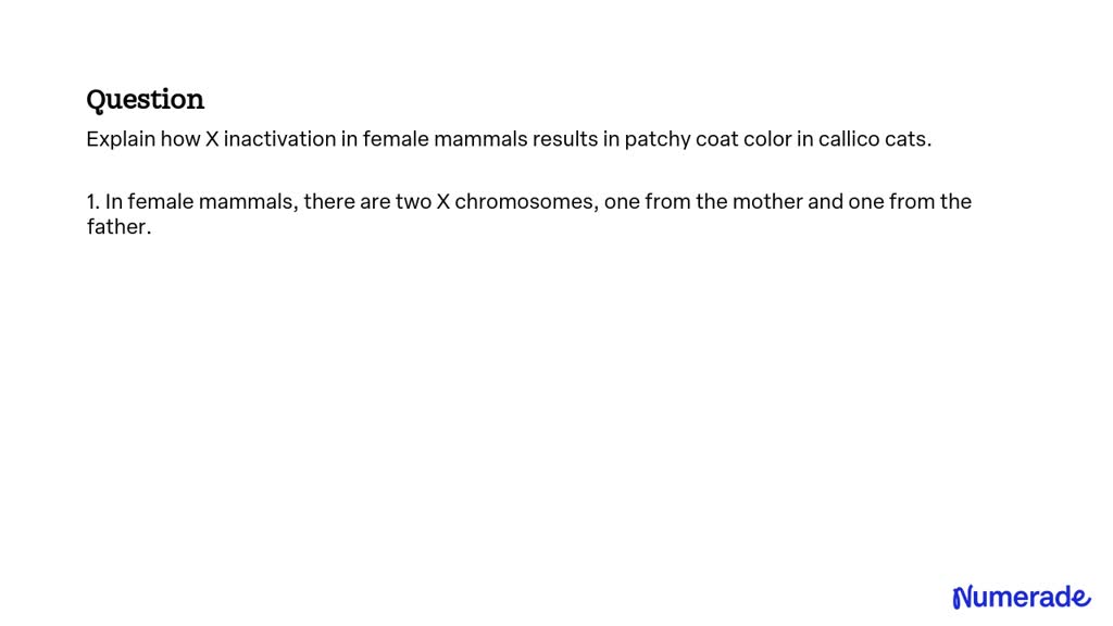 Solved Explain How X Inactivation In Female Mammals Results In Patchy Coat Color In Callico Cats 1297