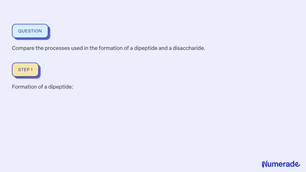 ⏩SOLVED:Compare the processes used in the formation of a dipeptide ...