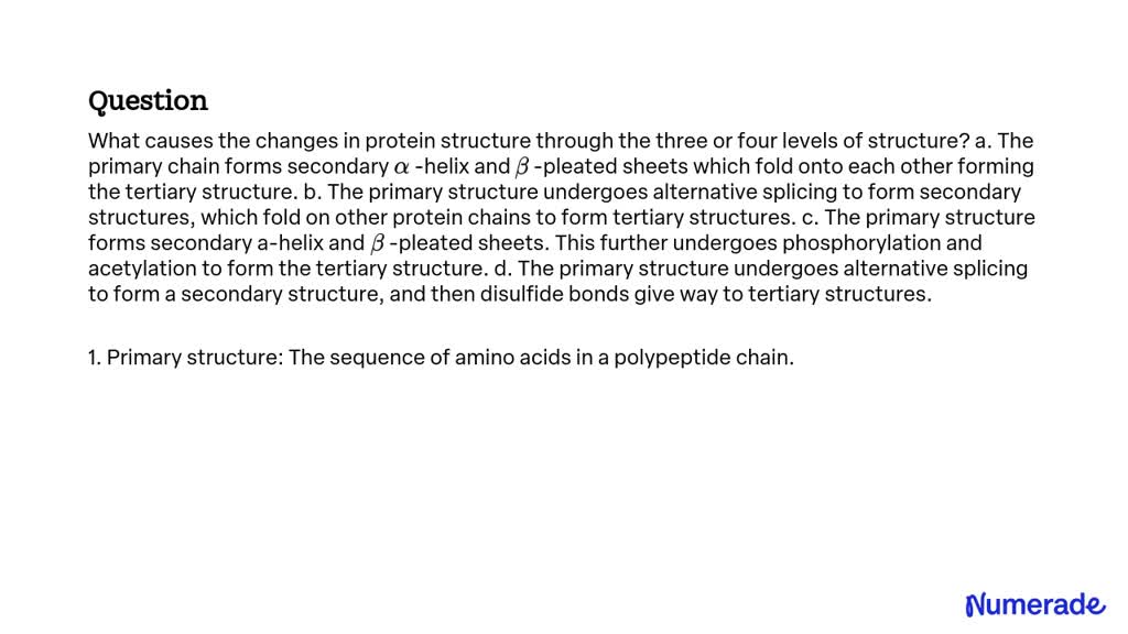 Video Solution: What Causes The Changes In Protein Structure Through 