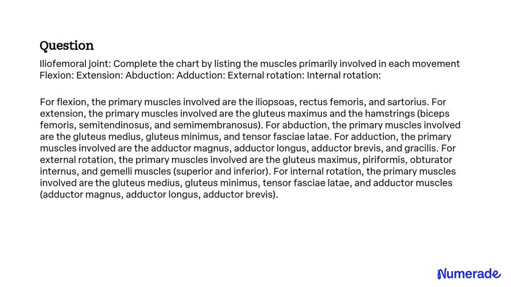 SOLVED: Iliofemoral joint: Complete the chart by listing the muscles ...