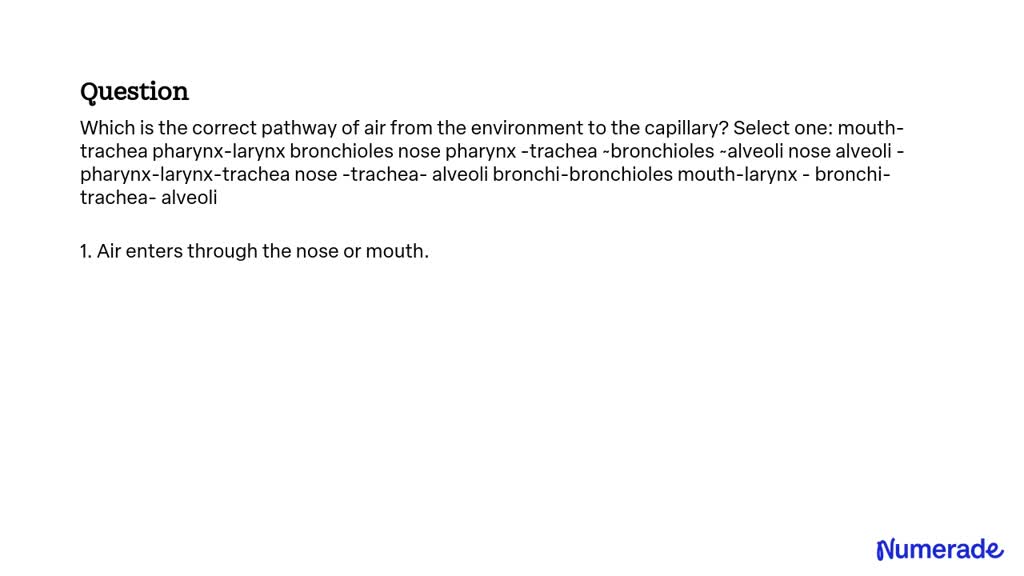 SOLVED: Which is the correct pathway of air from the environment to the ...
