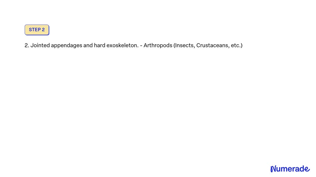 SOLVED: Characteristics of animal groups. Classify each description