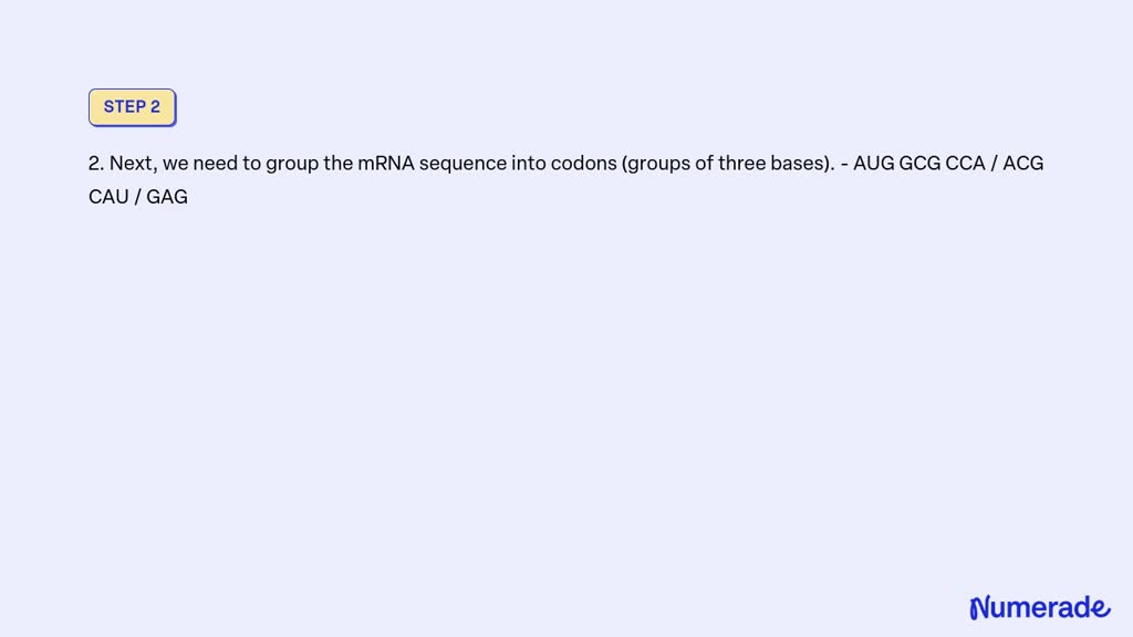 SOLVED: Use sequence of DNA bases in a protein TAC CGC CCT TGC GTA CTC ...