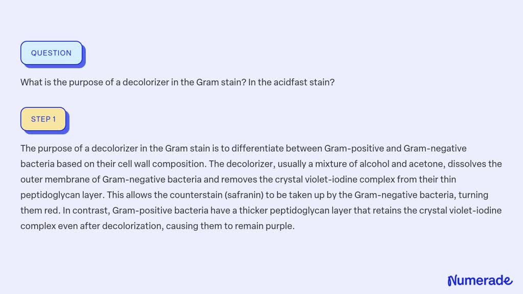 Solved What Is The Purpose Of A Decolorizer In The Gram Stain In Numerade