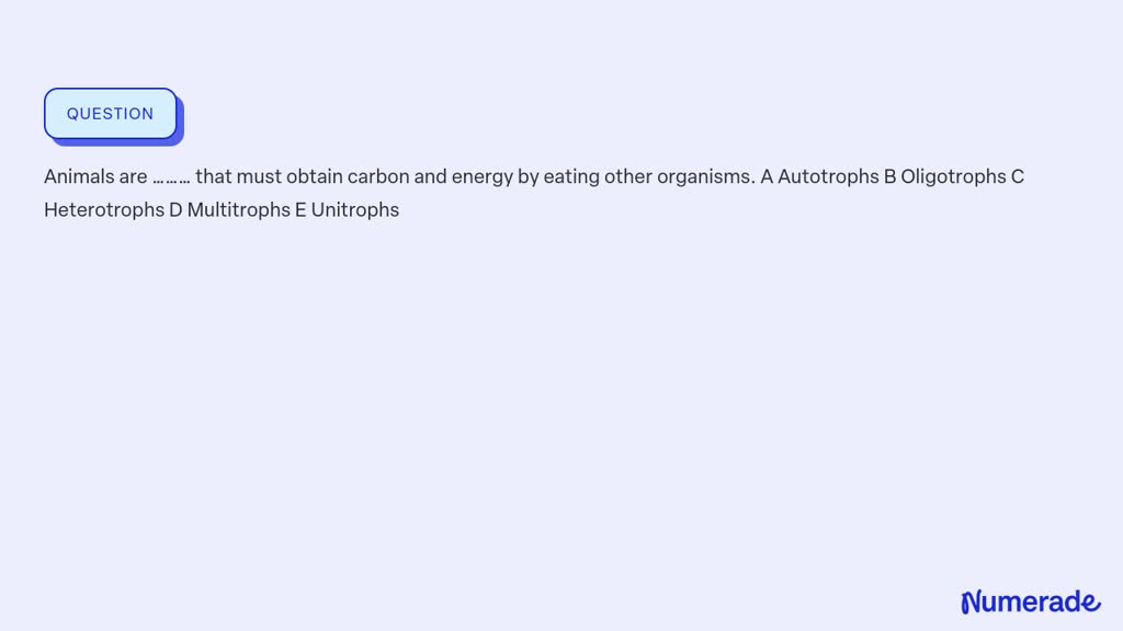 SOLVED: Animals Are ……… That Must Obtain Carbon And Energy By Eating ...