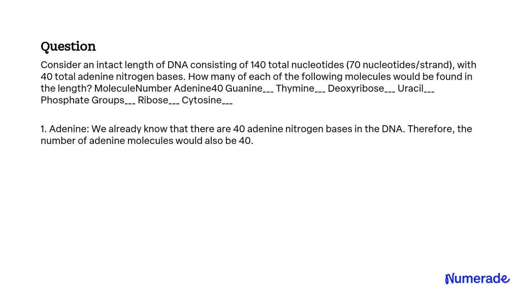 SOLVED: Consider an intact length of DNA consisting of 140 total ...