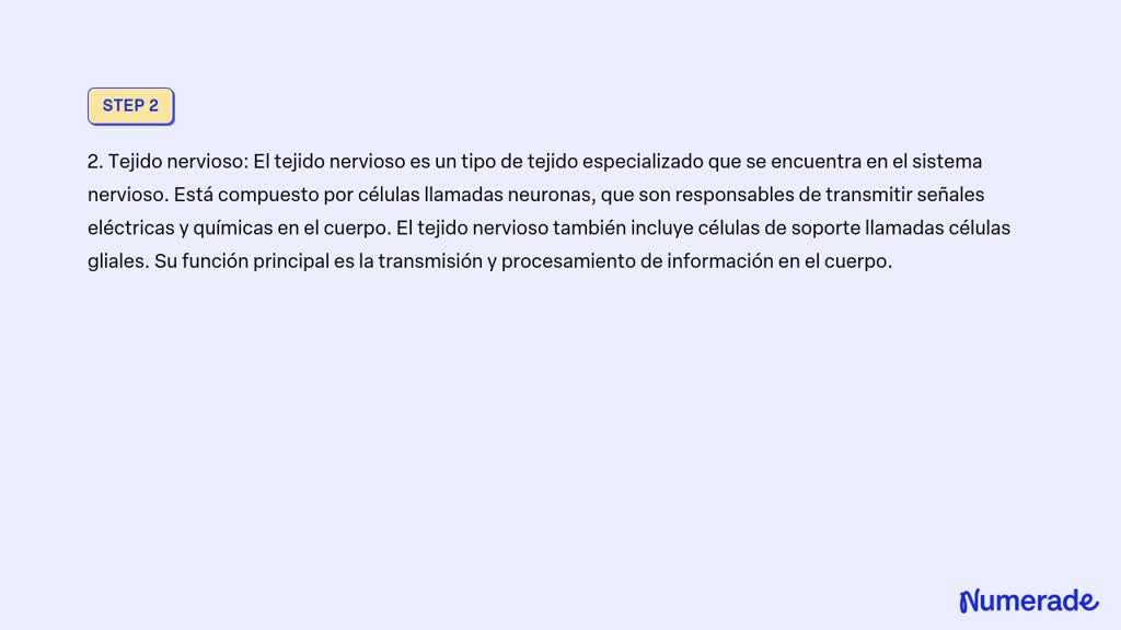 Solved Me Pueden Ayudar Es Urgente Porfa Concepto Tipo De Tejido Conectivo Nervioso Epitelial