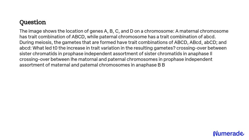 SOLVED The image shows the location of genes A, B, C, and D on a