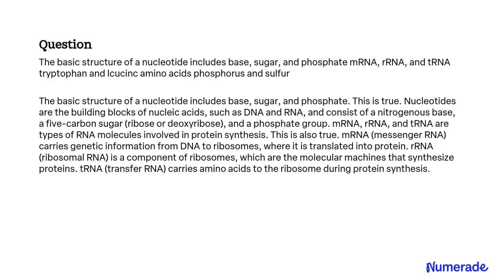 Solved The Basic Structure Of A Nucleotide Includes A Base Sugar And Phosphate Mrna Rrna 0297