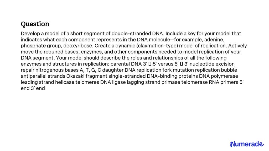 SOLVED: Develop a model of a short segment of double-stranded DNA ...