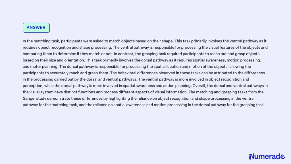 SOLVED: Explain the differences between the dorsal and ventral pathways ...