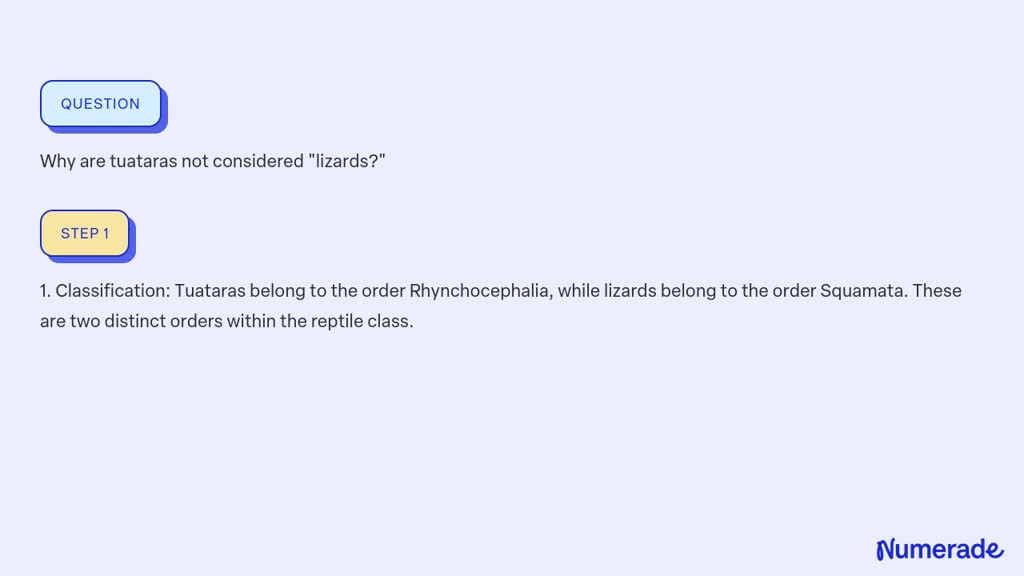 ⏩SOLVED:Why are tuataras not considered "lizards?" | Numerade