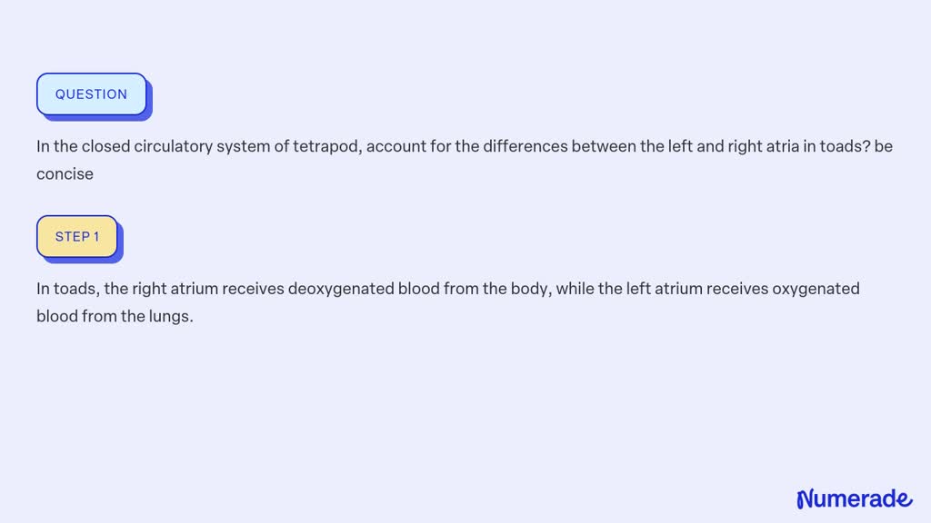 SOLVED: In the closed circulatory system of tetrapod, account for the ...