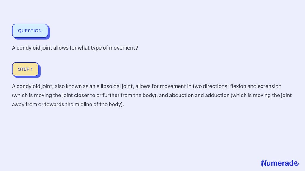 solved-a-condyloid-joint-allows-for-what-type-of-movement