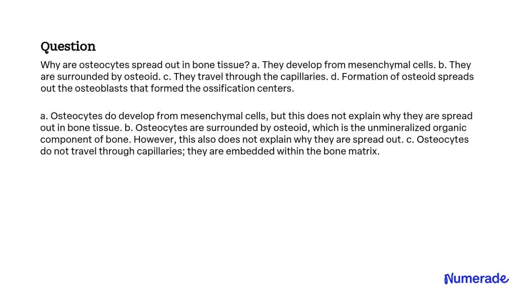 SOLVED: Why are osteocytes spread out in bone tissue? a. They develop