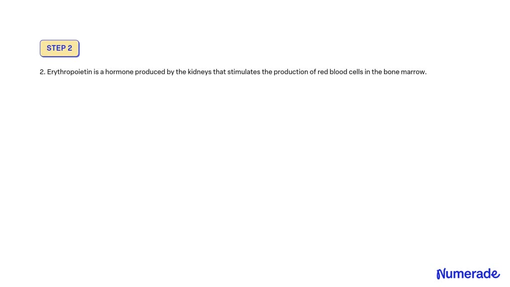 SOLVED: 1. Describe the following types of anemia: iron-deficiency ...