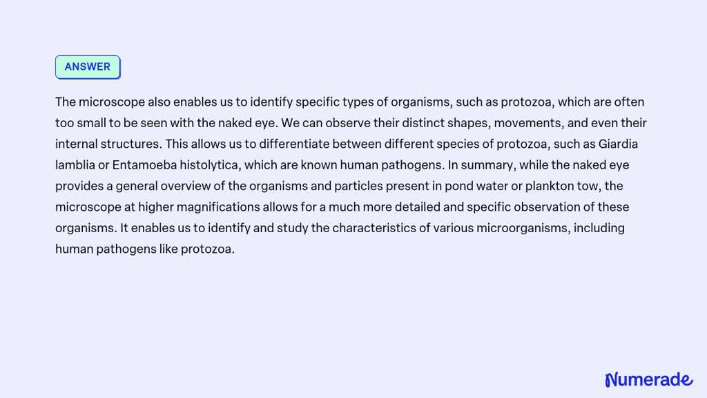 VIDEO solution: Table 2.1 Examples of Human Pathogens That Are Protozoa ...