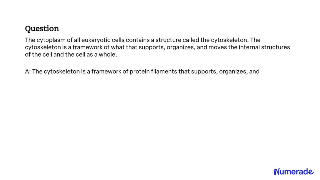 SOLVED: The cytoplasm of all eukaryotic cells contains a structure ...