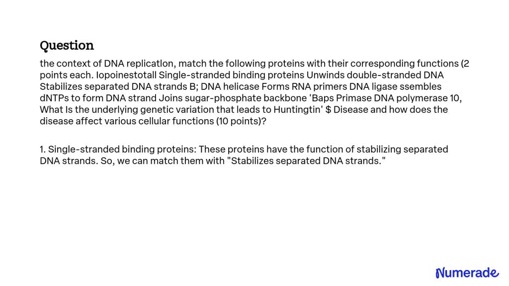 SOLVED: In the context of DNA replication, match the following proteins ...