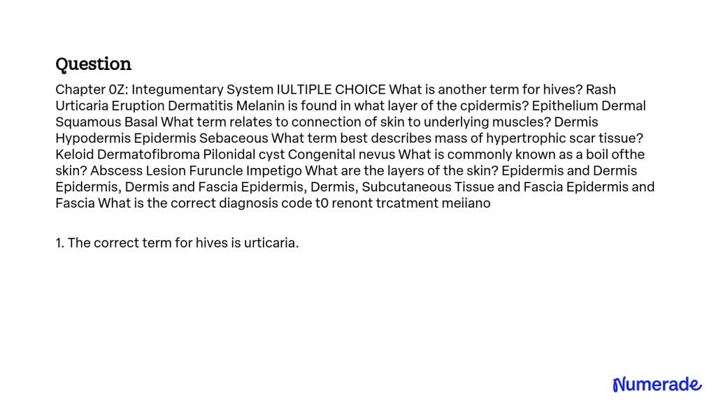 solved-chapter-0z-integumentary-system-multiple-choice-what-is