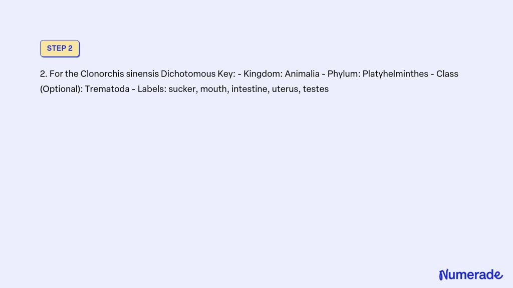 Solved: Specimen Planaria Dichotomous Key - Steps: Drawing Labels 