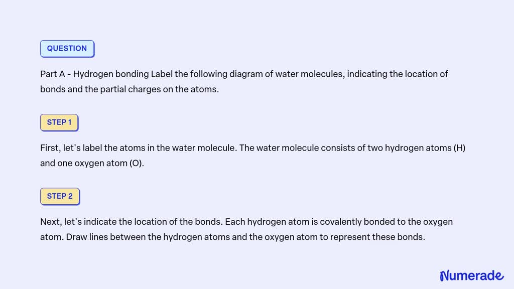 Solved Part A Hydrogen Bonding Label The Following Diagram Of Water Molecules Indicating The