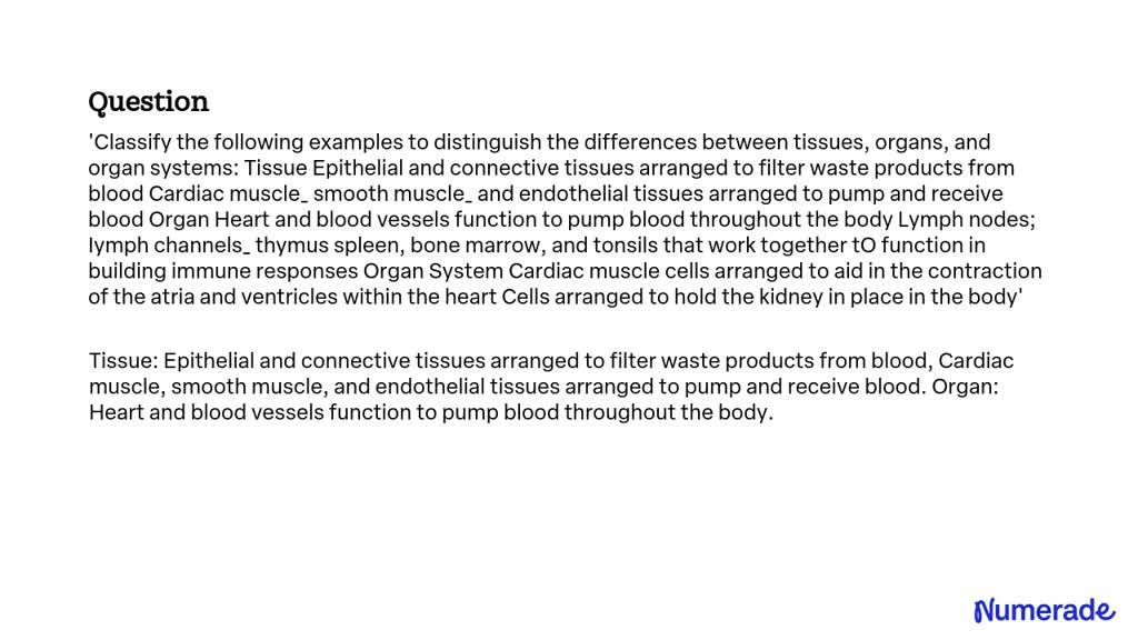 SOLVED: 'Classify the following examples to distinguish the differences ...