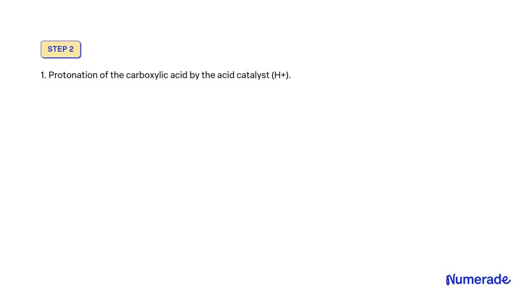 Solved A Draw The Structure Of Butyl Ethanoate B From Which Starting Materials Can Butyl 0540