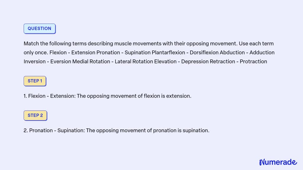 Solved: Match The Following Terms Describing Muscle Movements With 