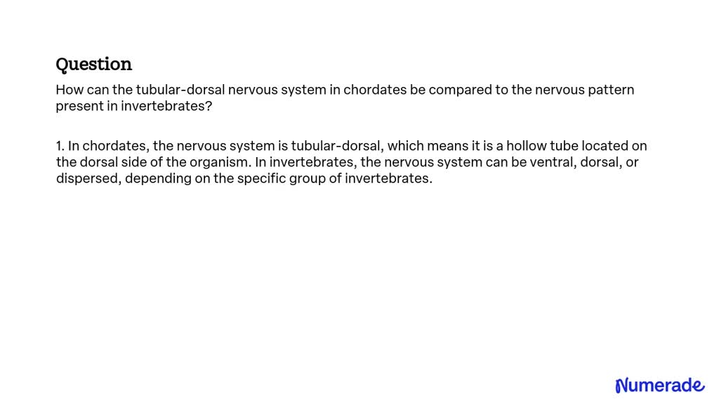 SOLVED: How can the tubular-dorsal nervous system in chordates be