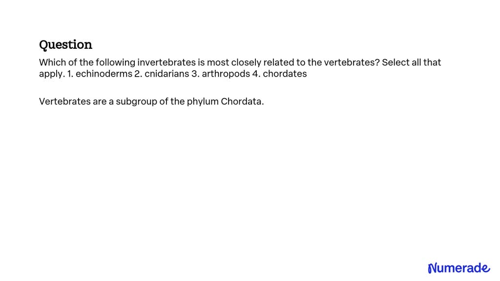 SOLVED: Which of the following invertebrates is most closely related to