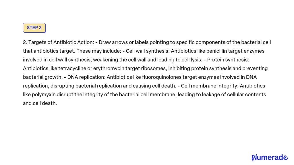 SOLVED: Chemotherapy and Antibiotics 1. Draw schematically 