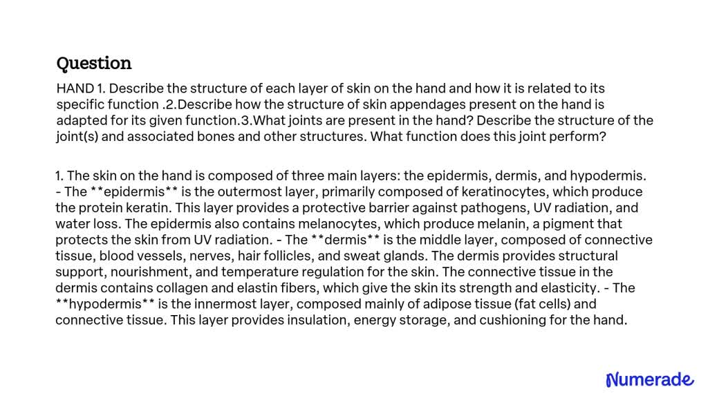 SOLVED: 1. Describe the structure of each layer of skin on the hand and ...