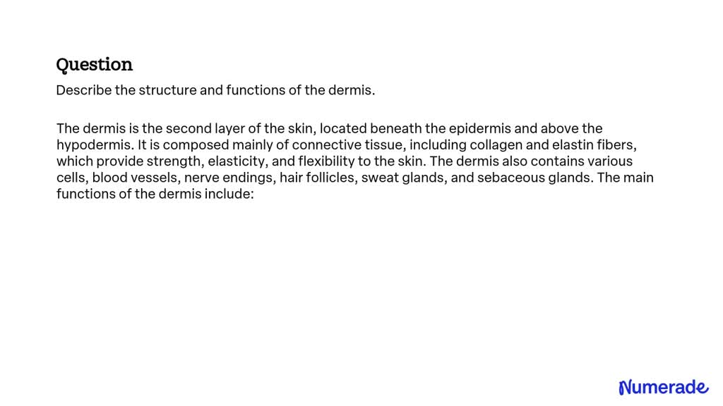 SOLVED: Describe the structure and functions of the dermis.