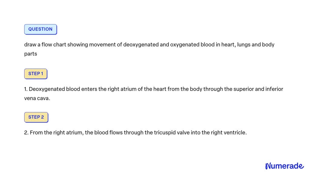 solved-draw-a-flow-chart-showing-movement-of-deoxygenated-and-oxygenated-blood-in-heart-lungs