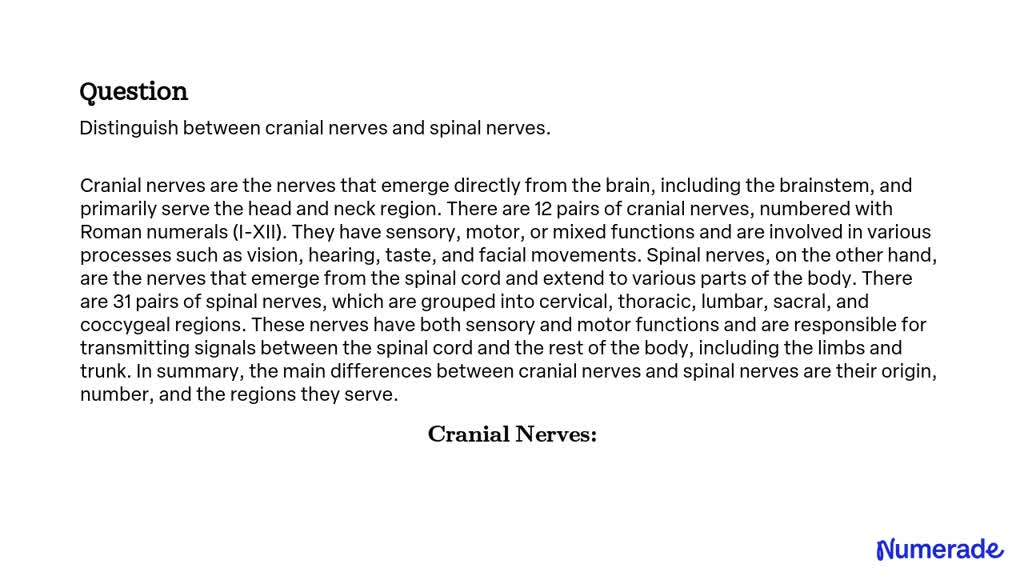 solved-distinguish-between-cranial-nerves-and-spinal-nerves