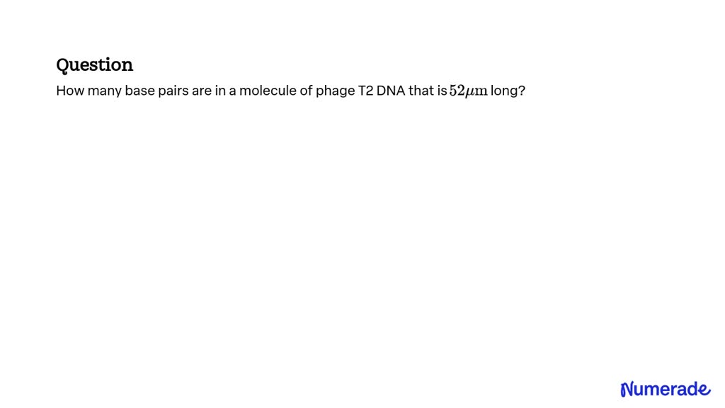 solved-how-many-base-pairs-are-in-a-molecule-of-phage-t2-dna-that-is-52