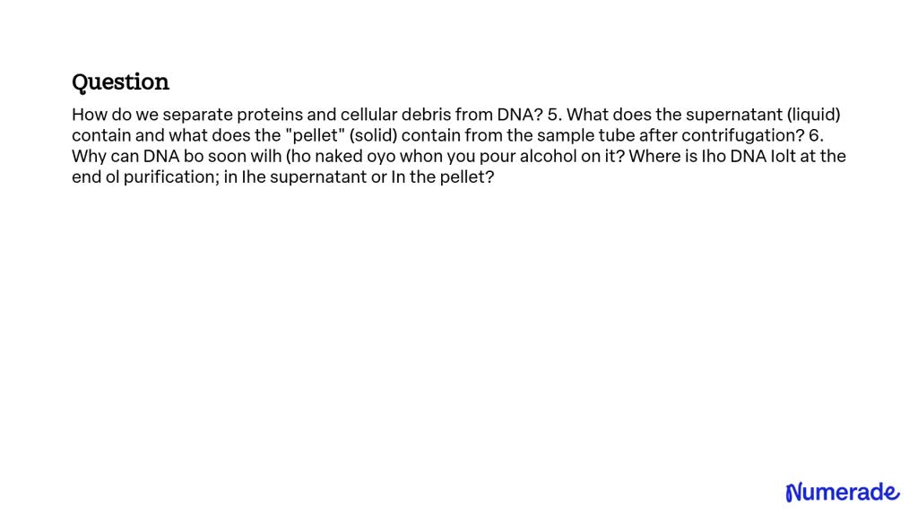 SOLVED: How do we separate proteins and cellular debris from DNA? 5 ...