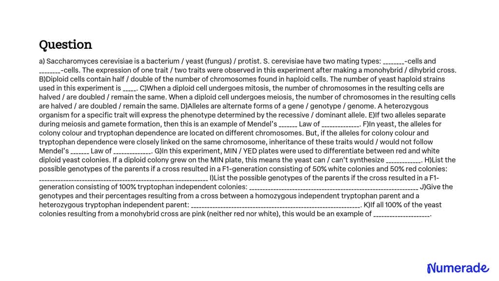 SOLVED: a) Saccharomyces cerevisiae is a yeast (fungus). S. cerevisiae ...